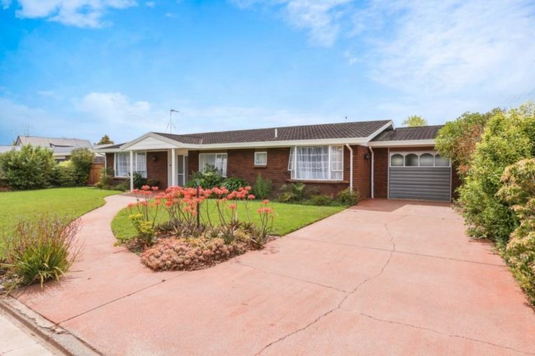 Photo of property in 47 Naylor Street, Hamilton East, Hamilton, 3216