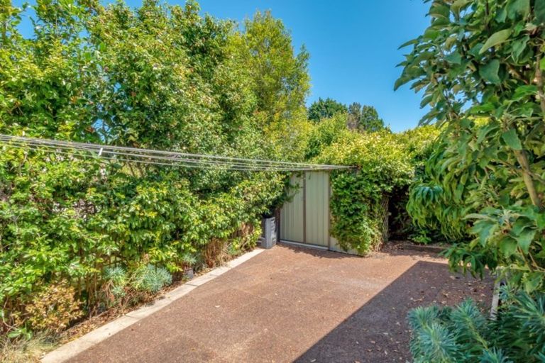 Photo of property in 45 Rewarewa Place, Matua, Tauranga, 3110