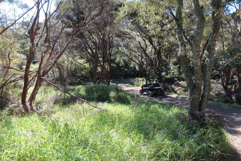 Photo of property in 1026 Manaia Road, Manaia, Coromandel, 3581