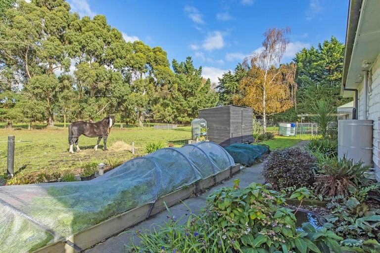 Photo of property in 269 Pannetts Road, Springston, Christchurch, 7674