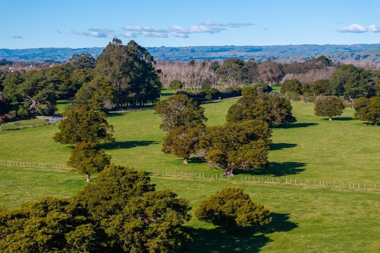 Photo of property in 151 Humphries Street, Woodside, Greytown, 5794