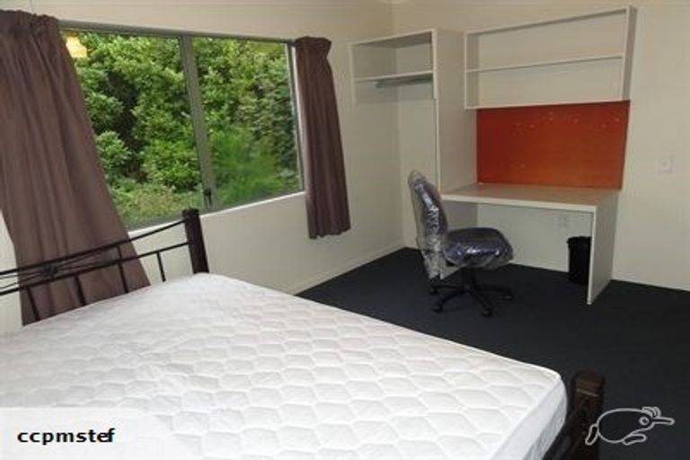 Photo of property in 63 Opoho Road, North East Valley, Dunedin, 9010