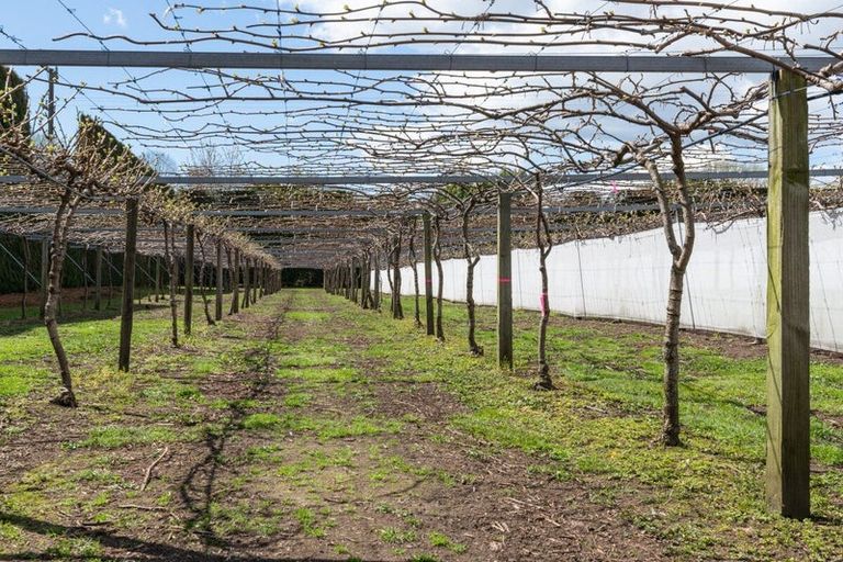 Photo of property in 154b Wairoa Road, Minden, Tauranga, 3171