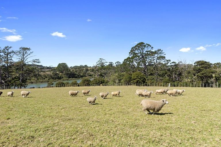 Photo of property in 1 Edward Jonkers Drive, Riverhead, Albany, 0793