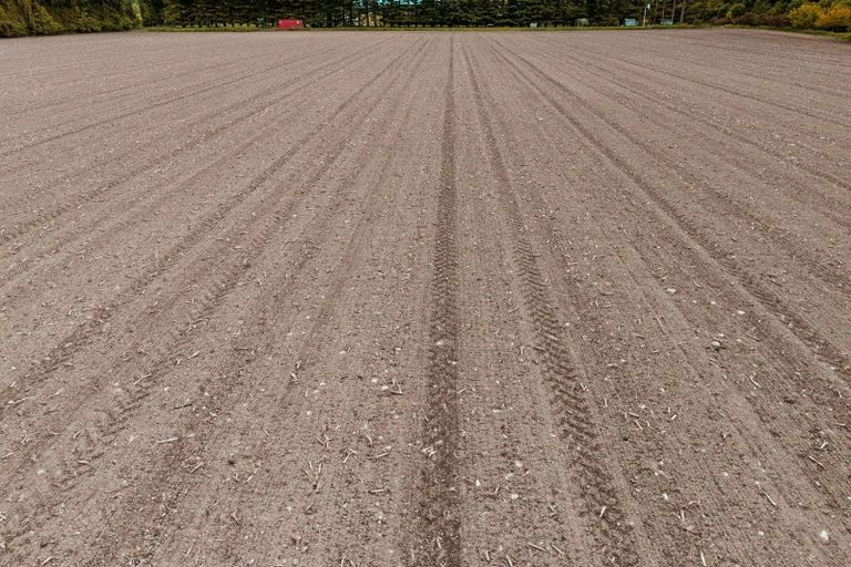 Photo of property in 170 Rawles Crossing Road, Greenstreet, Ashburton, 7771