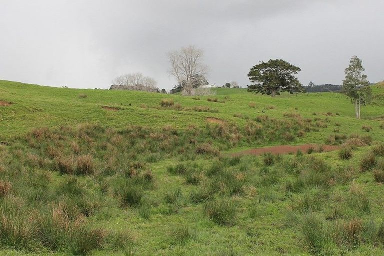 Photo of property in 1784 State Highway 12, Paparoa, 0571