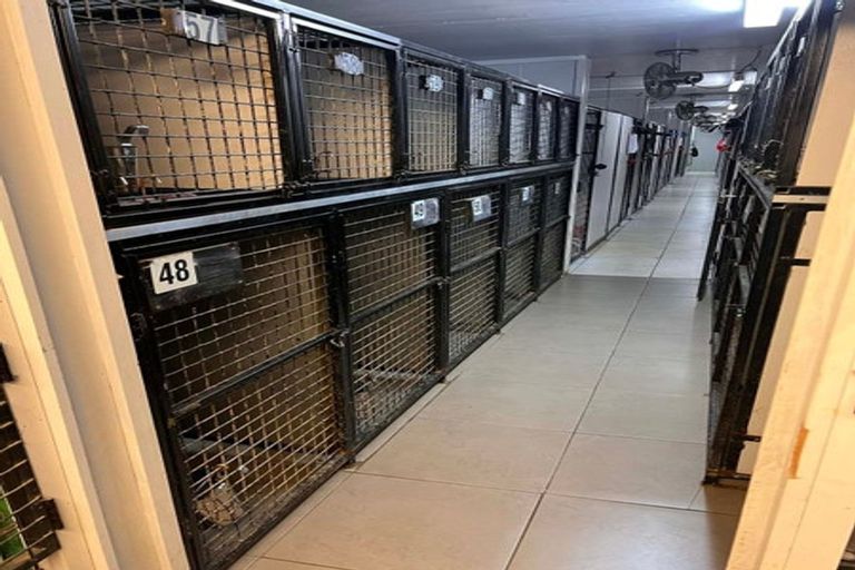 Photo of property in 140 Mako Mako Road, Levin, 5510