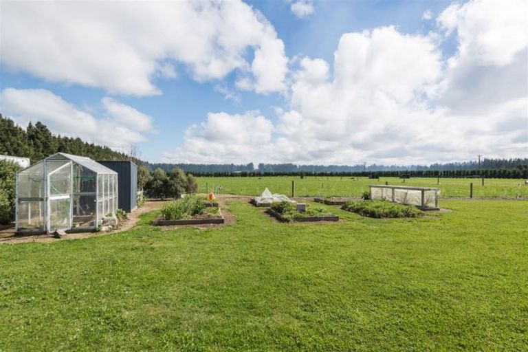 Photo of property in 91 Pesters Road, Eyrewell, Rangiora, 7476