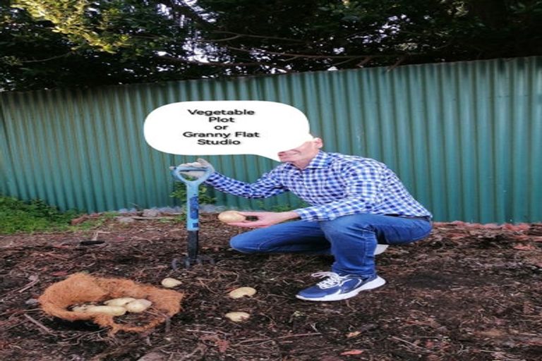 Photo of property in 165 Cambridge Street, Levin, 5510