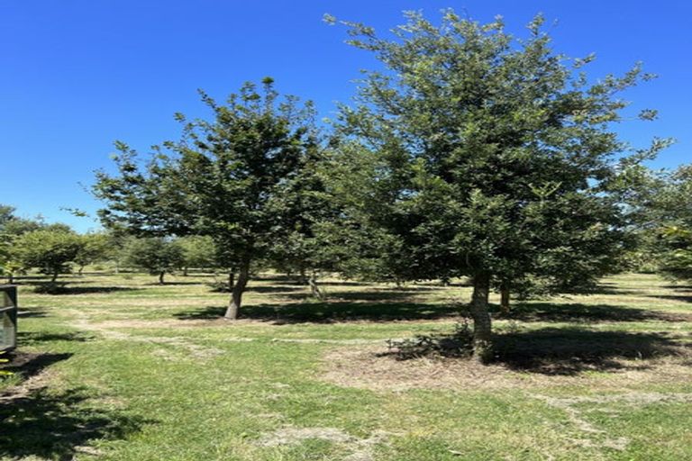 Photo of property in 271 Mystery Creek Road, Ohaupo, 3881