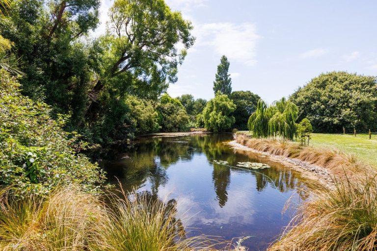 Photo of property in 291 Napier Road, Kelvin Grove, Palmerston North, 4470