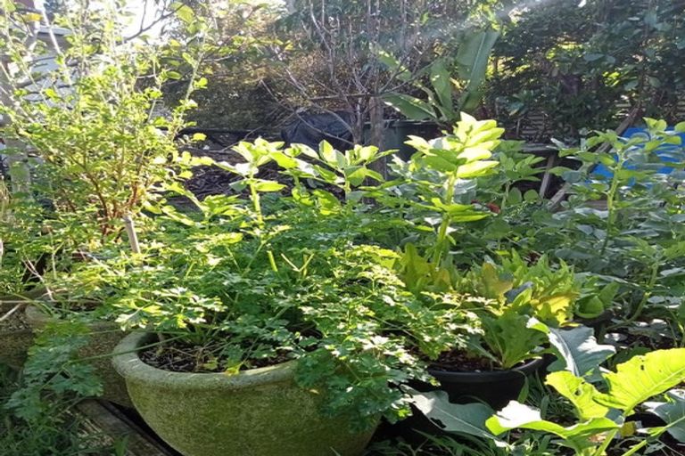 Photo of property in 40 Judea Road, Judea, Tauranga, 3110