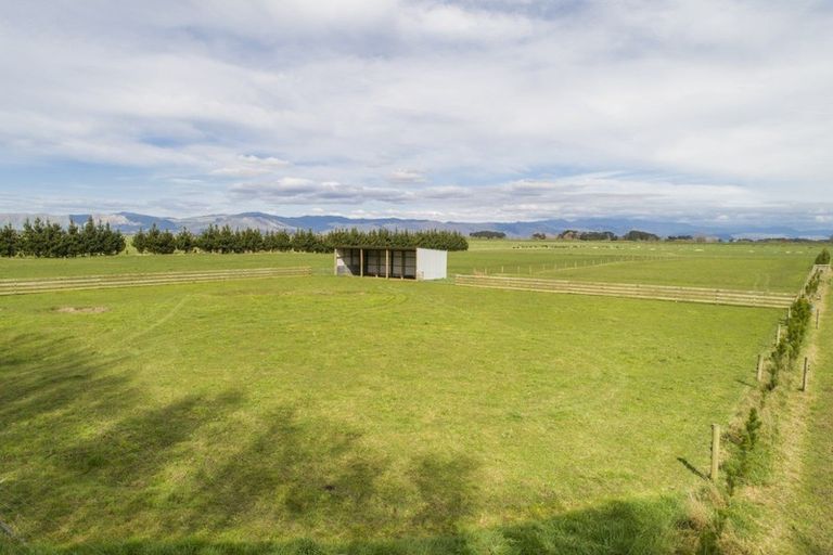 Photo of property in 265 Hoihere Road, Tiakitahuna, Palmerston North, 4477