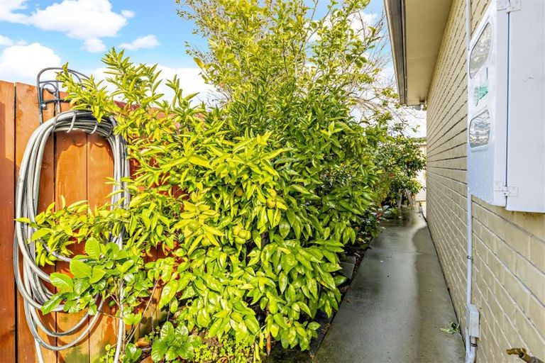 Photo of property in 43a Gray Avenue, Mangere East, Auckland, 2024