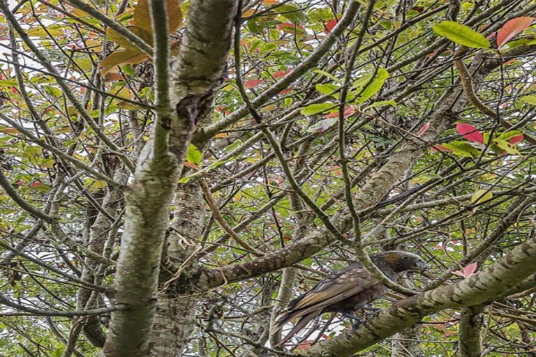 Photo of property in 17 Garfield Street, Brooklyn, Wellington, 6021