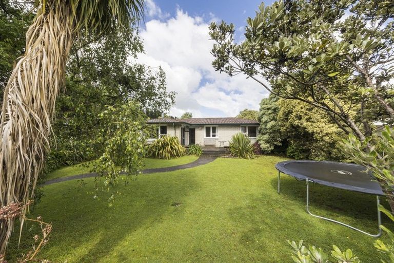 Photo of property in 95 Winchester Street, Ashhurst, 4810