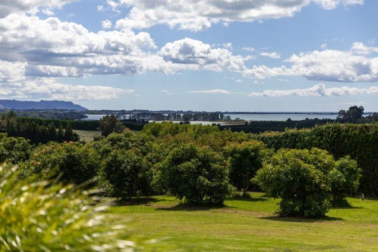 Photo of property in 63 Ongare Point Road, Tahawai, Katikati, 3170