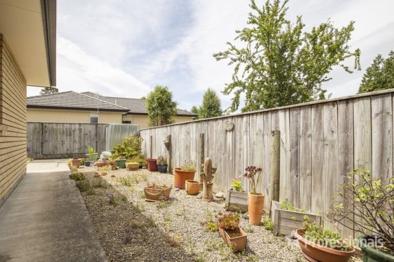 Photo of property in 6/27 Third Street, Lansdowne, Masterton, 5810