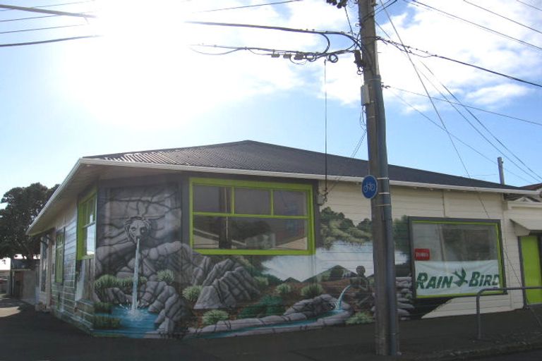 Photo of property in 257 Coutts Street, Rongotai, Wellington, 6022