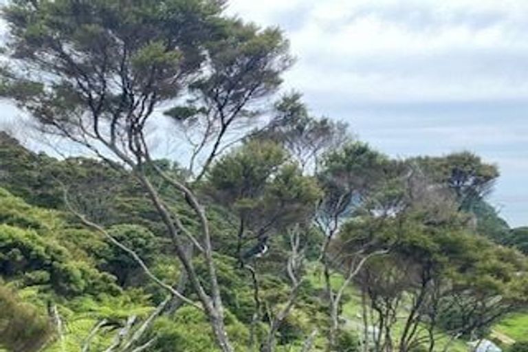 Photo of property in 28 Tutukaka Block Road, Tutukaka, Whangarei, 0173