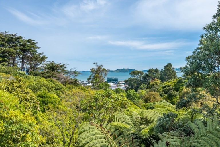 Photo of property in 38 Stanhope Grove, Korokoro, Lower Hutt, 5012