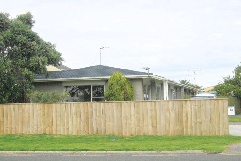 Photo of property in 24a Tweed Street, Mount Maunganui, 3116
