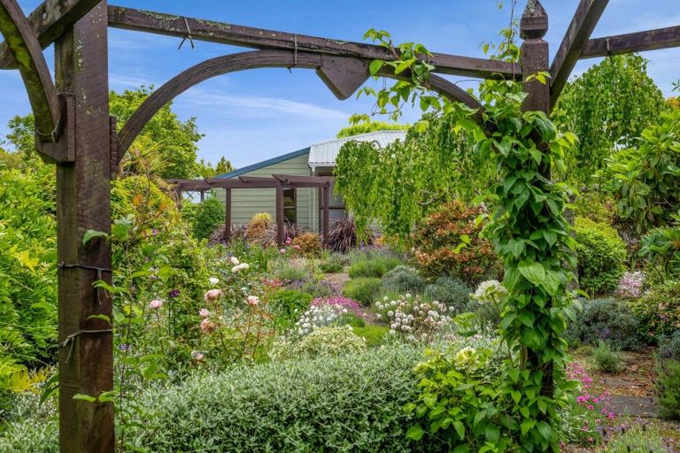 Photo of property in 37 Cassandra Street, Stratford, 4332