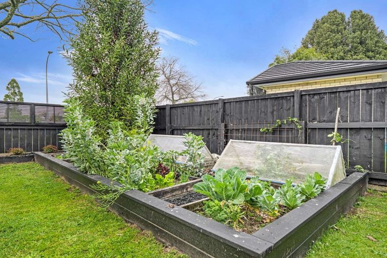 Photo of property in 125 Holland Road, Fairfield, Hamilton, 3214