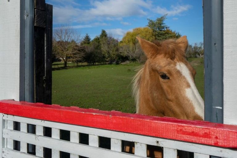 Photo of property in 17 Glenaven Drive, Motueka, 7120