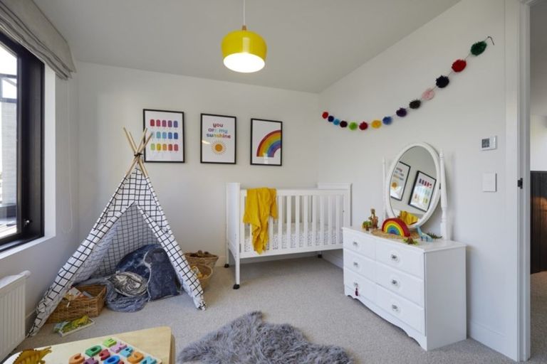 Photo of property in 56b Campbell Road, Mount Maunganui, 3116