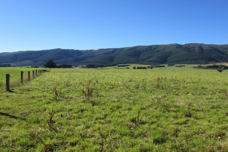 Photo of property in 274 Sheddan Road, Tapanui, 9587