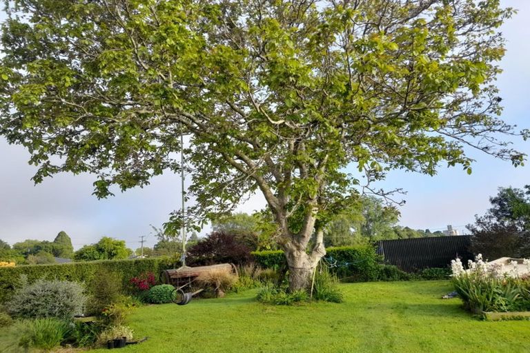 Photo of property in 4 Massey Street, Waimate, 7924