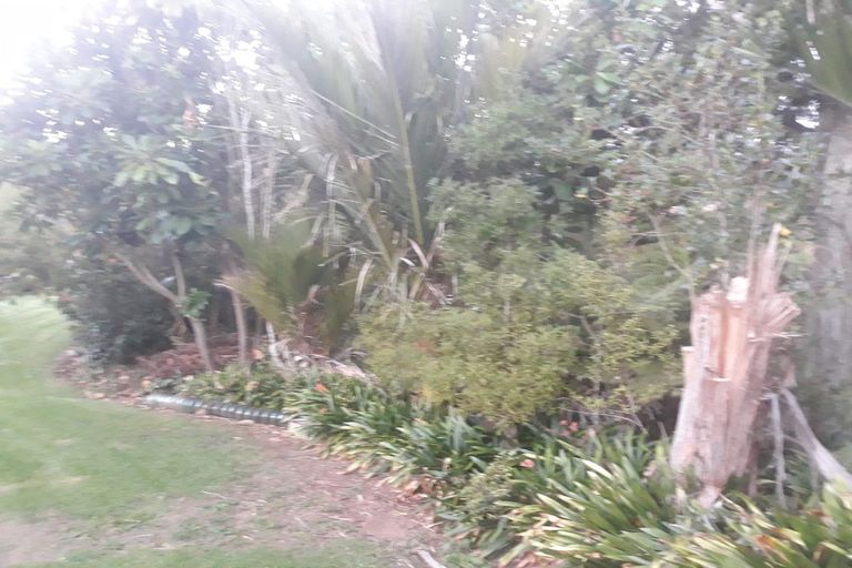 Photo of property in 41 Cory Road, Kaukapakapa, 0873