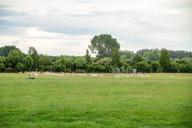 Photo of property in 18 Meadowlinks Lane, Pleasant Point, 7974