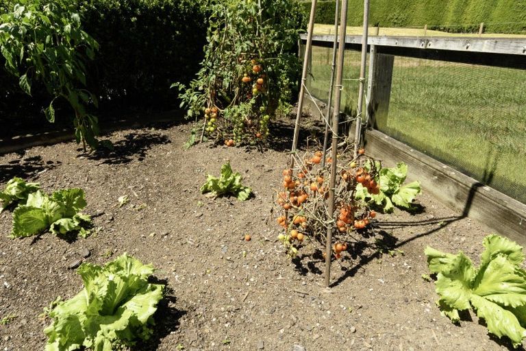 Photo of property in 100 Tebbutt Road, Lower Kaimai, Tauranga, 3171