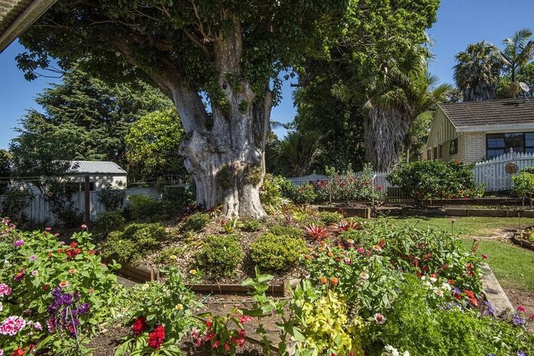 Photo of property in 76 Puriri Park Road, Maunu, Whangarei, 0110