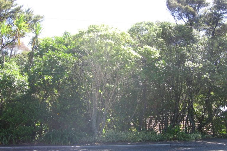 Photo of property in 187 Manuka Road, Bayview, Auckland, 0629