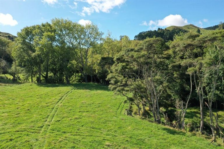 Photo of property in 24b Cogswell Road, Raglan, 3295