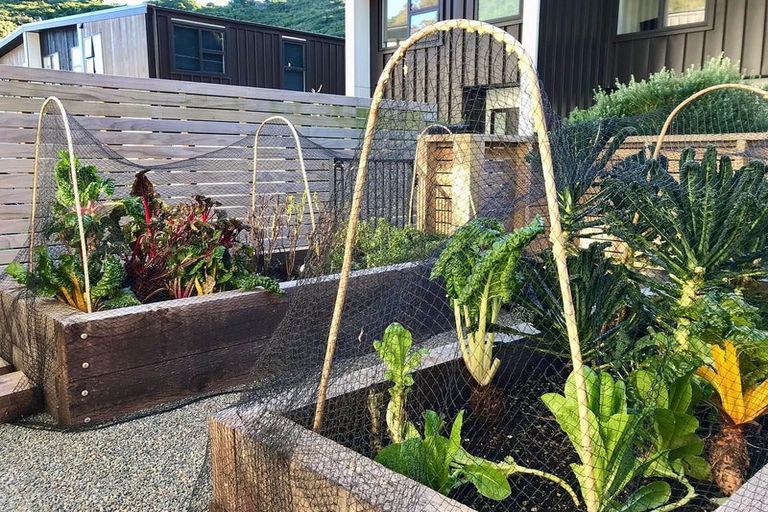 Photo of property in 11 Rua Kai Way, Brooklyn, Wellington, 6021