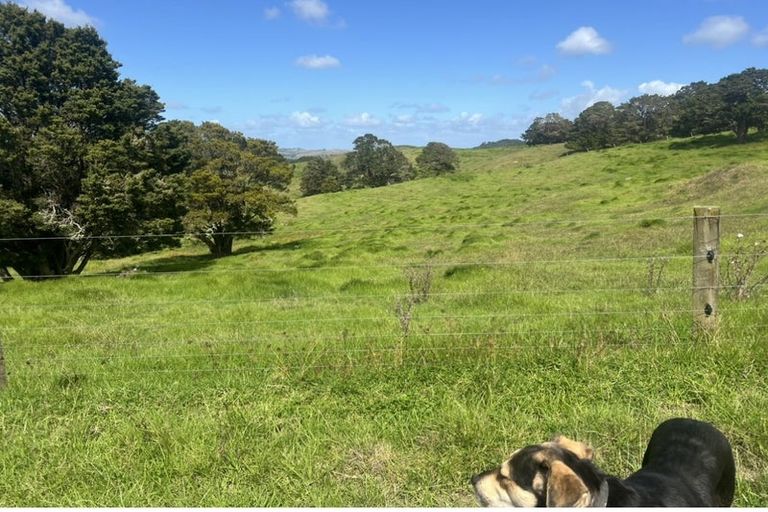 Photo of property in 492 Wairere Road, Paparoa, 0571