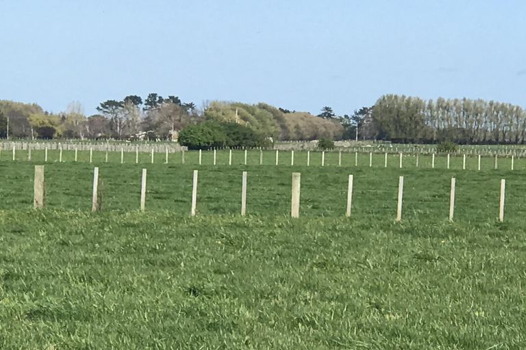 Photo of property in 30 Monrad Street, Highbury, Palmerston North, 4412