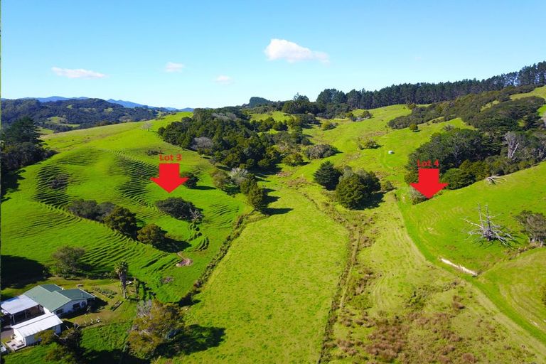 Photo of property in 110 Diggers Valley Road, Herekino, Kaitaia, 0481