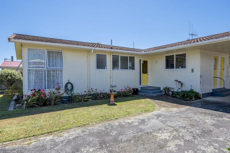 Photo of property in 58 Strathmore Avenue, Levin, 5510