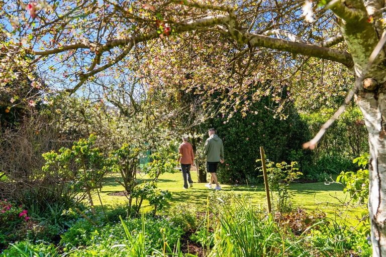 Photo of property in 34 Poike Road, Hairini, Tauranga, 3112