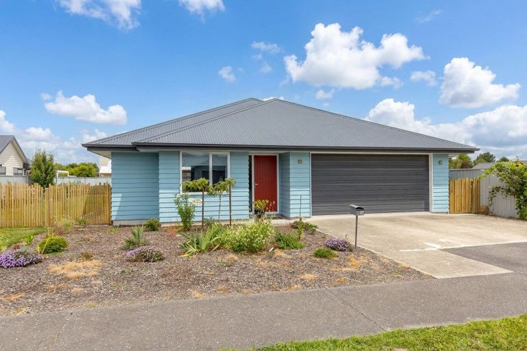 Photo of property in 38 Westwood Avenue, Greytown, 5712