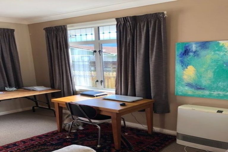 Photo of property in 163 Galloway Street, Hamilton East, Hamilton, 3216