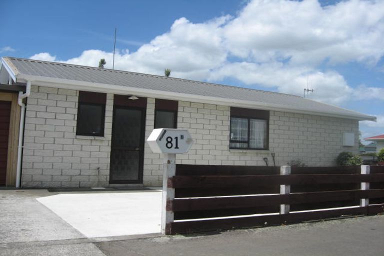 Photo of property in 81b Beattie Street, Feilding, 4702