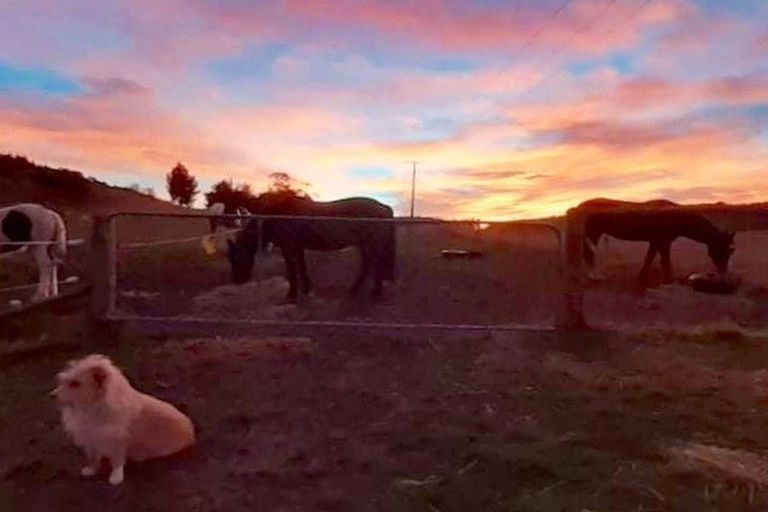 Photo of property in 4942 Hampden-palmerston Road, Bushey, Palmerston, 9482