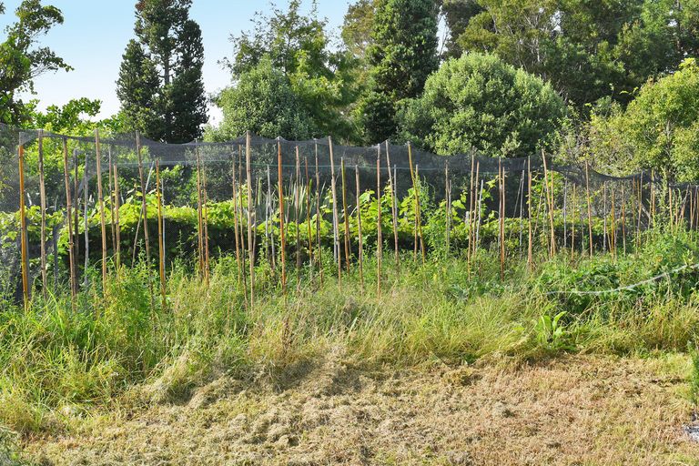 Photo of property in 165 Rahuikiri Road, Tomarata, Wellsford, 0972