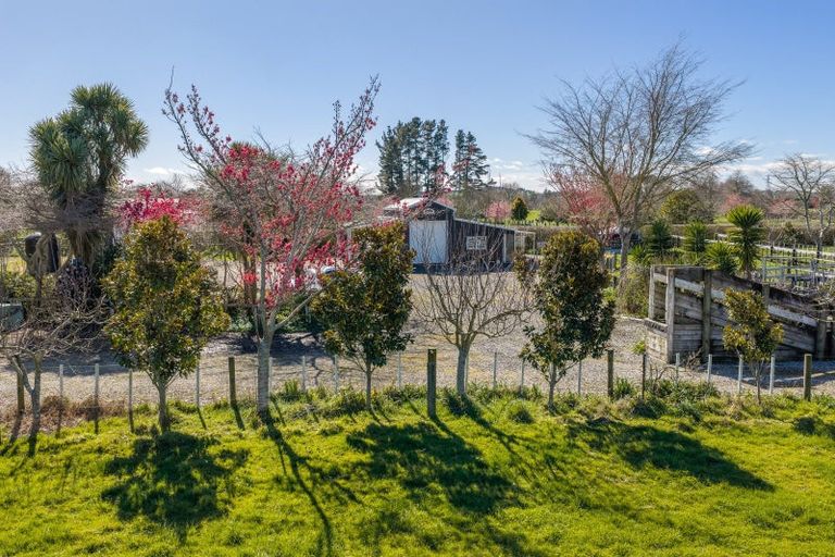Photo of property in 101 Ormsby Road, Pirongia, Te Awamutu, 3876